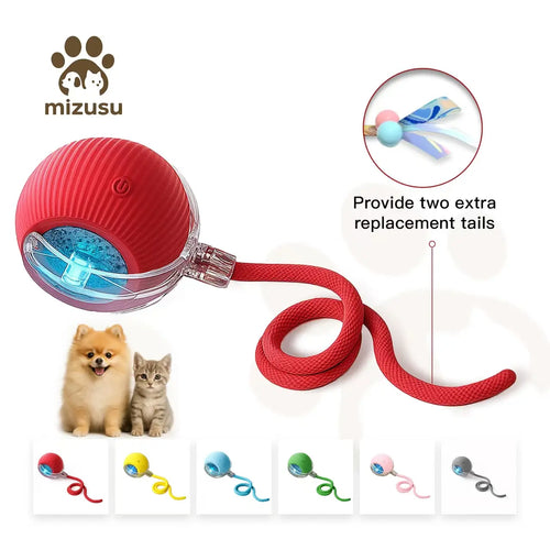 Engaging Interactive Cat & Dog Teaser Toy with Extra Tails - Fun Rolling Ball for Playful Pets